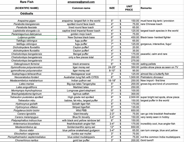 Screen Shot 2022-11-04 at 9.53.36 PM.png