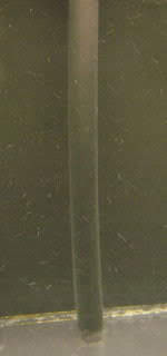 1667669170048.png 1667669170048.png