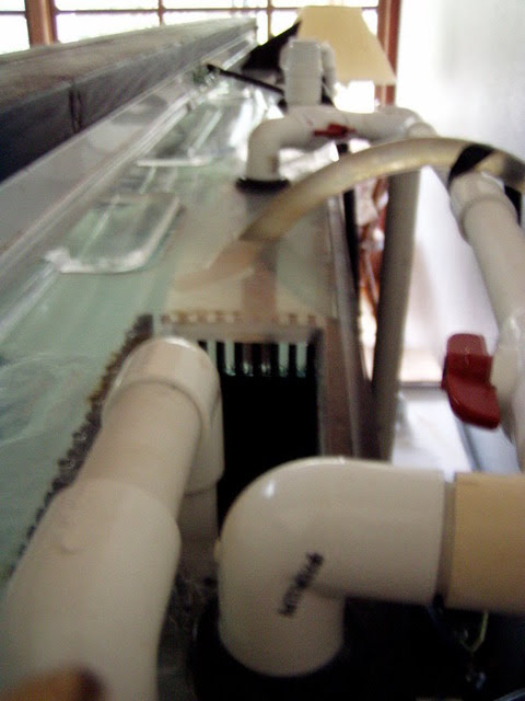 1667669617549.png 1667669617549.png