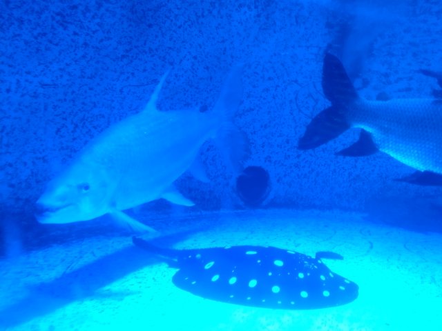 IMG_20221103_190205482.jpg