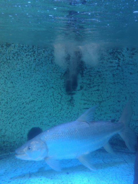 IMG_20221105_175210811.jpg