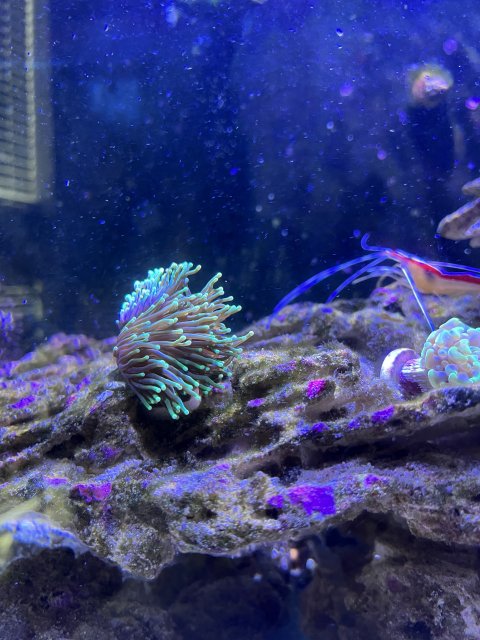 41BB5CF5-139A-4810-9AC8-560A864910B1.jpeg 41BB5CF5-139A-4810-9AC8-560A864910B1.jpeg