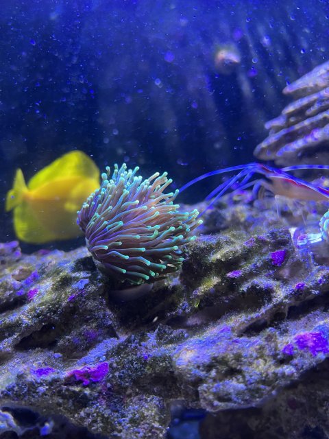 0BFD73B8-59D4-4498-8C21-AA9EB878E8E5.jpeg 0BFD73B8-59D4-4498-8C21-AA9EB878E8E5.jpeg