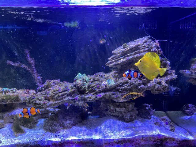 7B34BE04-DB94-4E02-9113-44ED55F183E6.jpeg 7B34BE04-DB94-4E02-9113-44ED55F183E6.jpeg