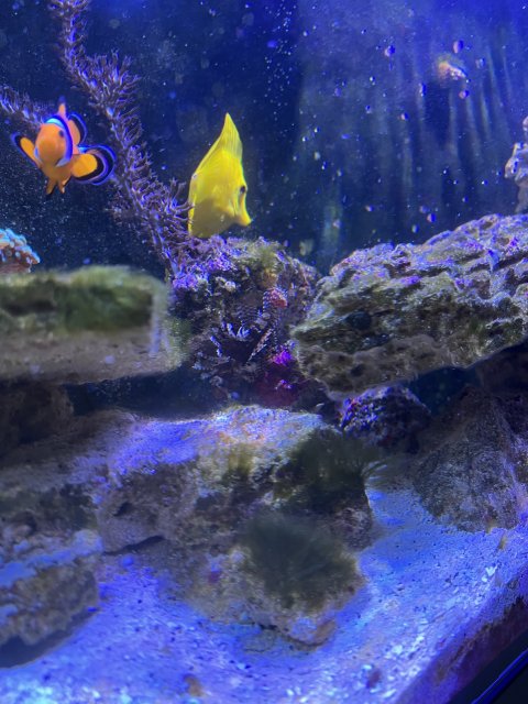 ADFF54E4-F855-40EC-A3C9-816402B6A5CB.jpeg ADFF54E4-F855-40EC-A3C9-816402B6A5CB.jpeg