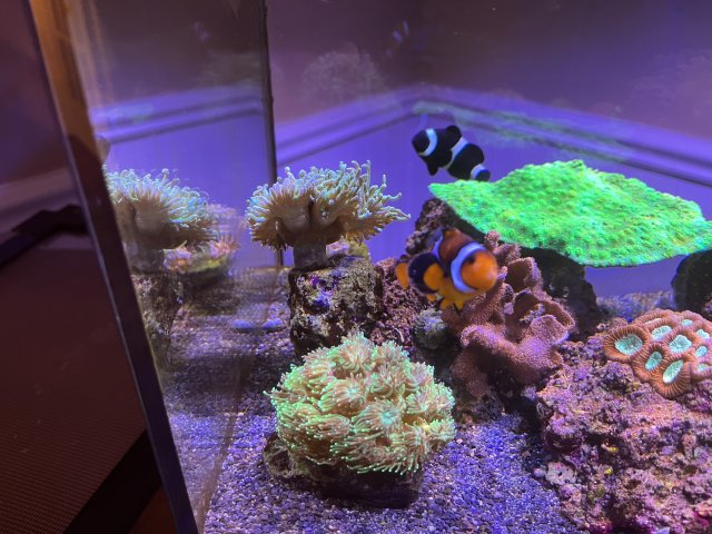 D5D792A7-10E7-4831-A4FD-87CD5A93D173.jpeg D5D792A7-10E7-4831-A4FD-87CD5A93D173.jpeg