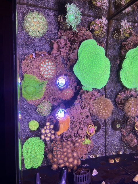 DBC51E9A-0115-4FCF-A20E-C93D5E346D18.jpeg DBC51E9A-0115-4FCF-A20E-C93D5E346D18.jpeg