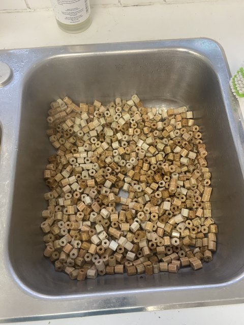 455443AA-B8CB-42DB-BC76-AAD37266E461.jpeg 455443AA-B8CB-42DB-BC76-AAD37266E461.jpeg