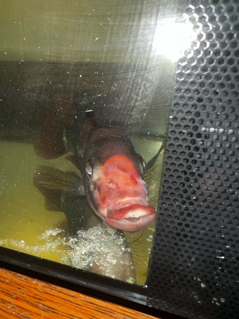 image3.jpeg