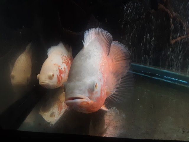 20221114_114850.jpg 20221114_114850.jpg