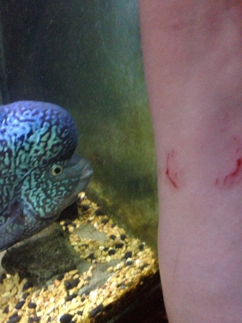 CC74A9F4-CFFD-4B06-AB50-145E77C7EAA2.jpeg CC74A9F4-CFFD-4B06-AB50-145E77C7EAA2.jpeg