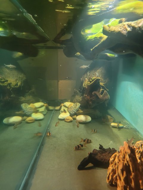 20221112_170451.jpg