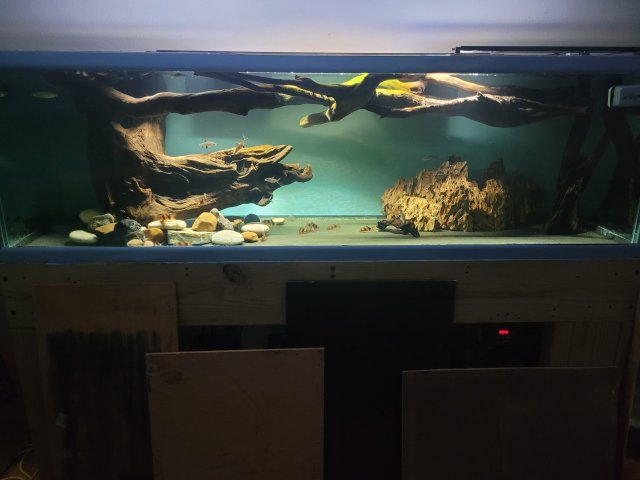 20221107_170449.jpg