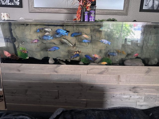 received_1387132381815816.jpeg received_1387132381815816.jpeg