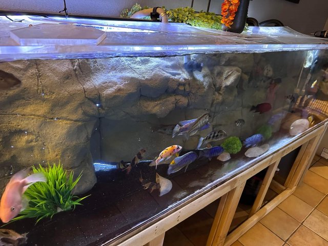 received_444275264480279.jpeg received_444275264480279.jpeg