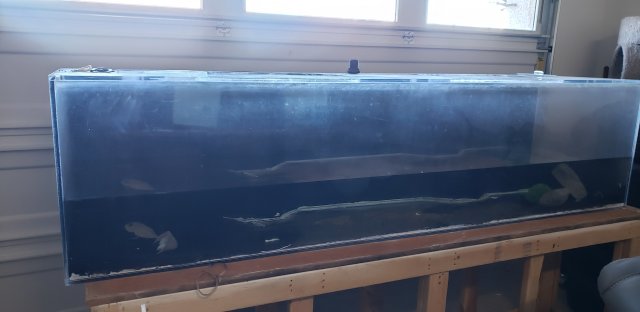 20221106_125746.jpg 20221106_125746.jpg