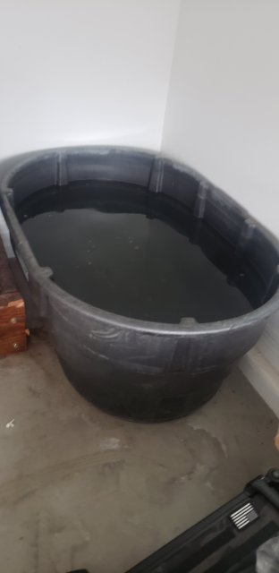 20221109_144216.jpg 20221109_144216.jpg