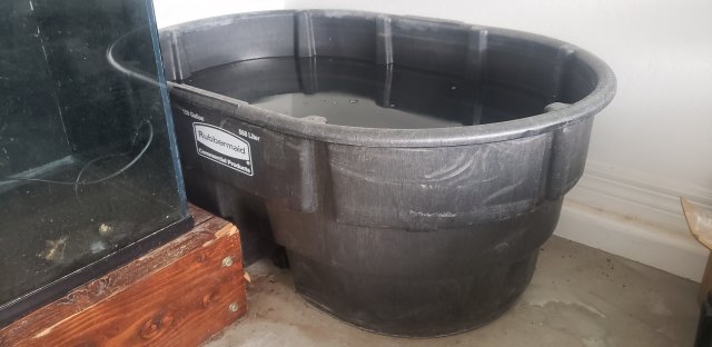 20221109_144227.jpg 20221109_144227.jpg