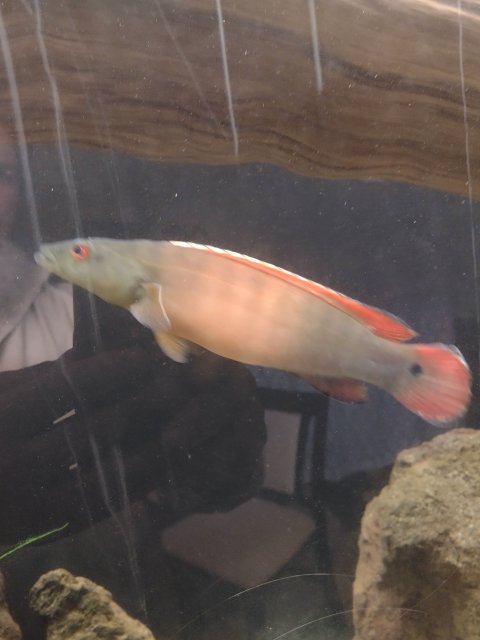 IMG_20221117_222736756.jpg IMG_20221117_222736756.jpg