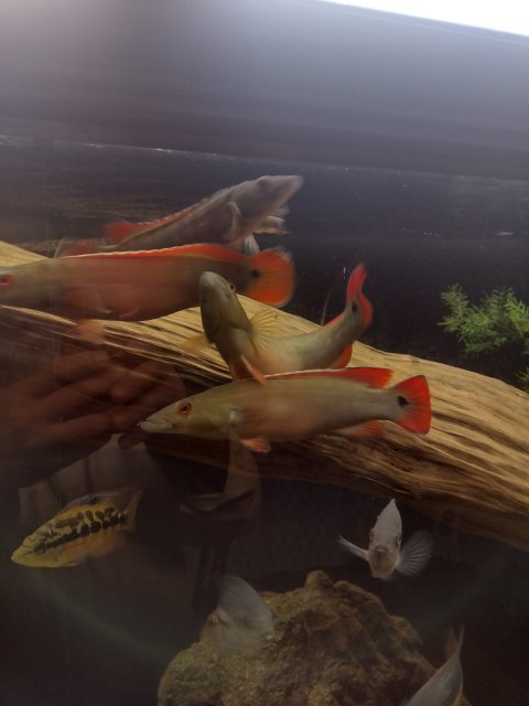 IMG_20221117_221323946_HDR.jpg IMG_20221117_221323946_HDR.jpg