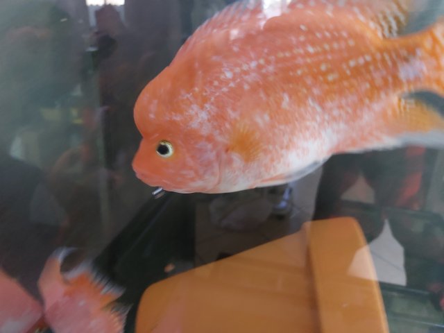 20221117_140659.jpg