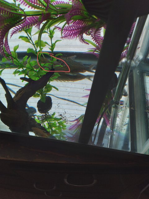 20221125_104149.jpg