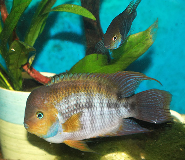 1669465670215.png 1669465670215.png