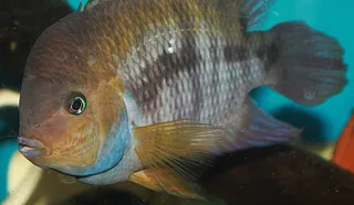 1669465832933.png 1669465832933.png