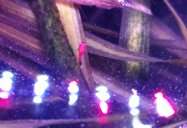 20221126_210441.jpg