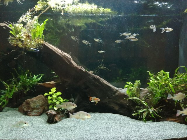 IMG_20221126_195128_1.jpg IMG_20221126_195128_1.jpg