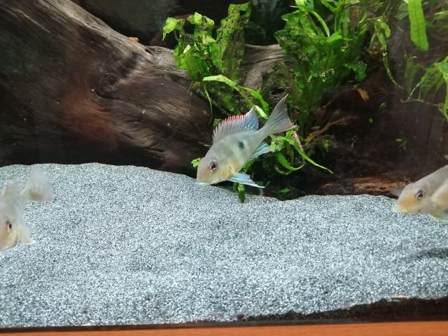 IMG_20221127_105654.jpg IMG_20221127_105654.jpg