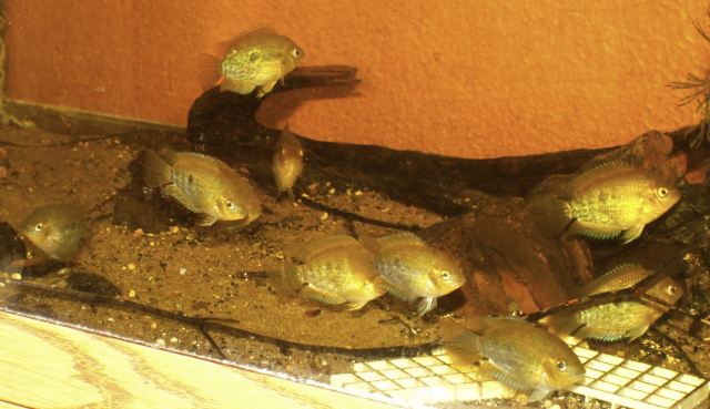 1669556566862.png 1669556566862.png