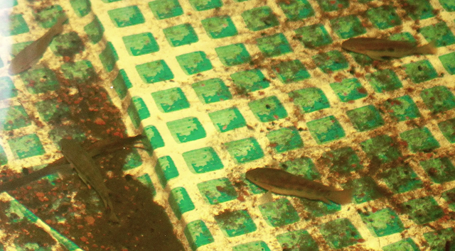 1669556741450.png 1669556741450.png