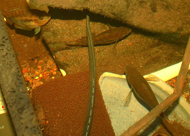 1669556821886.png 1669556821886.png