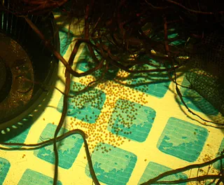 1669556991254.png 1669556991254.png