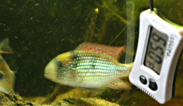 1669567147338.png 1669567147338.png