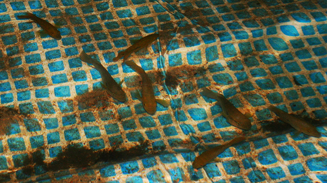 1669567565294.png 1669567565294.png