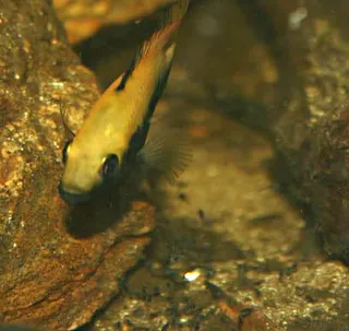 1669568786571.png 1669568786571.png