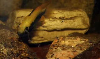 1669568825055.png 1669568825055.png