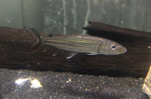 37A9B65C-A807-4F20-B01A-94386131FEC0.jpeg 37A9B65C-A807-4F20-B01A-94386131FEC0.jpeg