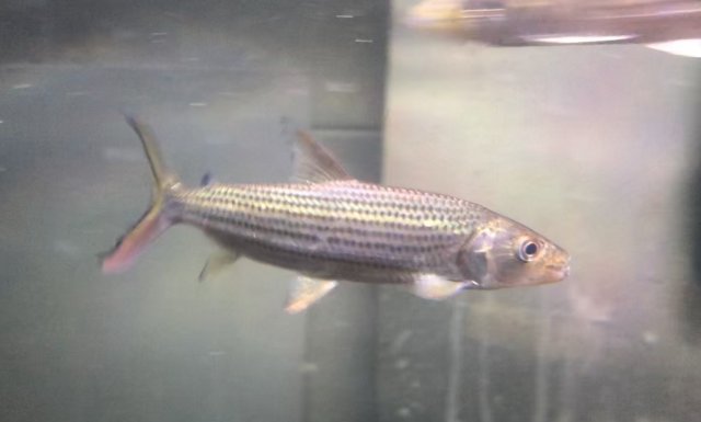 E80ADFFD-5453-4DDD-979D-560CAB3EC640.jpeg E80ADFFD-5453-4DDD-979D-560CAB3EC640.jpeg