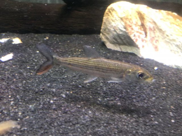 8C8218C9-D4E2-4EEC-BE6E-E75FB639F10E.jpeg 8C8218C9-D4E2-4EEC-BE6E-E75FB639F10E.jpeg