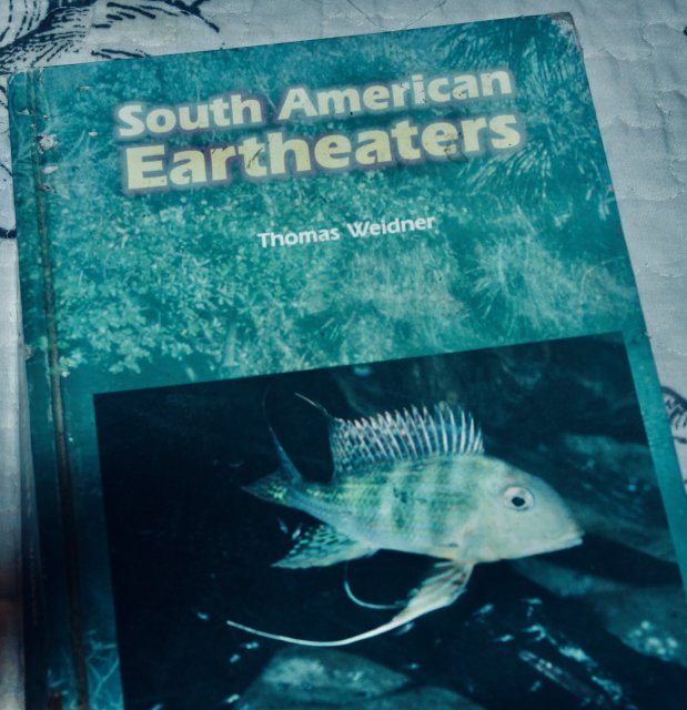 IMG_6855.jpeg IMG_6855.jpeg