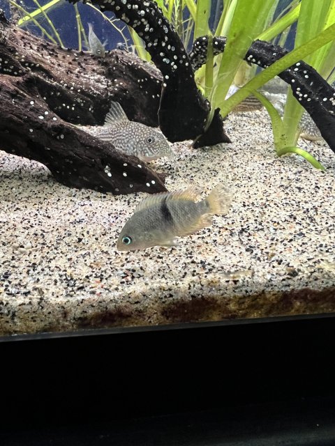 F2692A72-D320-499A-96A5-143F15C67FD9.jpeg F2692A72-D320-499A-96A5-143F15C67FD9.jpeg