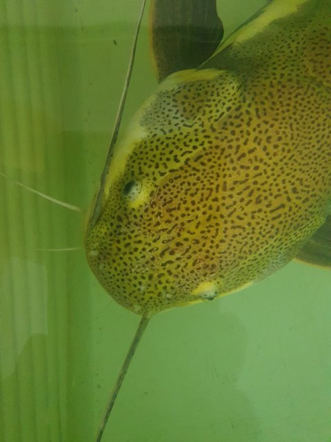20221205_201533.jpg