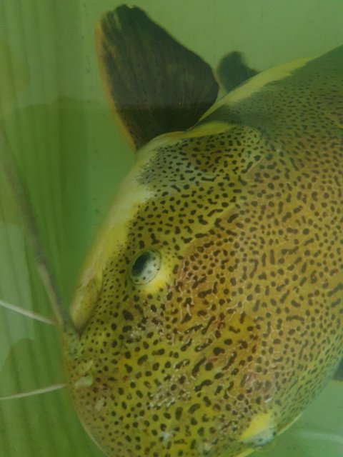 20221205_201539.jpg