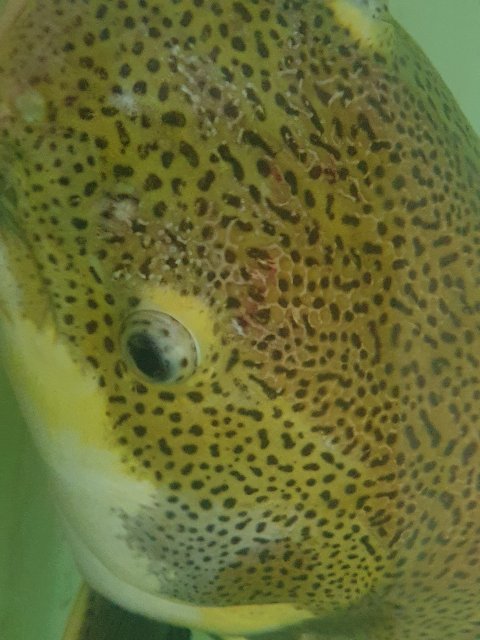 20221205_201558.jpg