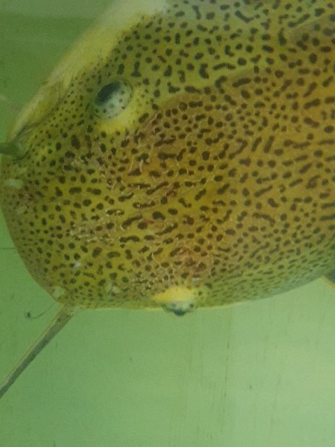 20221205_201635.jpg