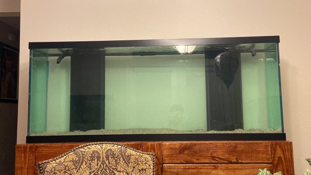 DCE2A563-6747-4265-8915-AAEAB897A514.jpeg DCE2A563-6747-4265-8915-AAEAB897A514.jpeg