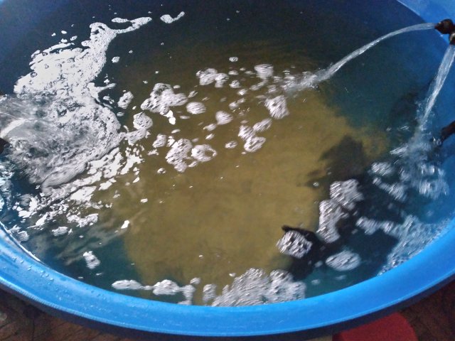 20221205_151058.jpg